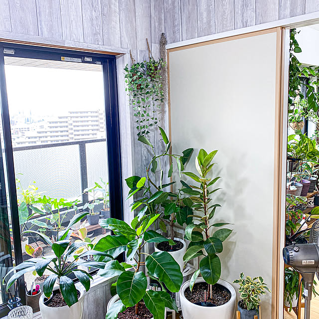 ficusさんの実例写真
