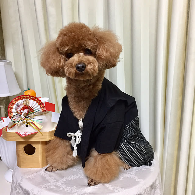 Naomiさんの実例写真
