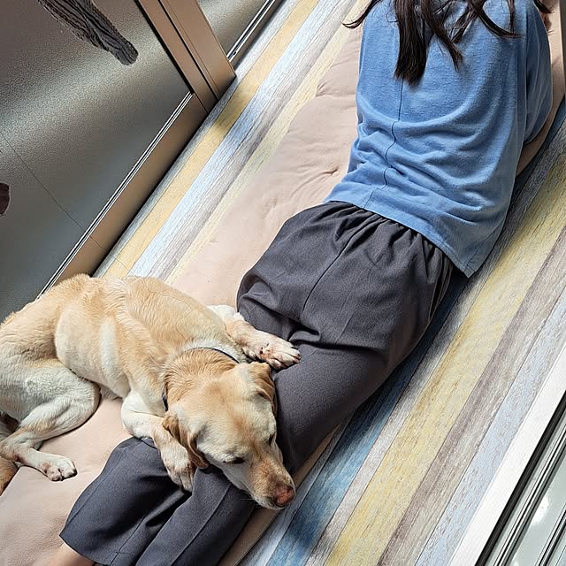 mihiroさんの部屋