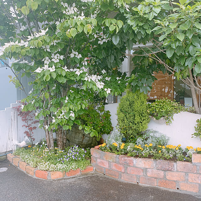 charryさんの実例写真