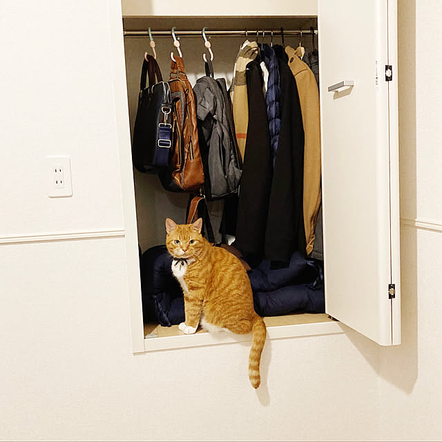 ねこと暮らす/ねこのいる日常/リビングのインテリア実例 - 2020-07-22 15:35:13