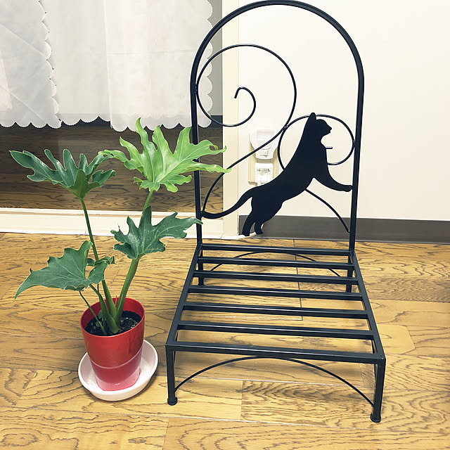 kuumicoさんの実例写真