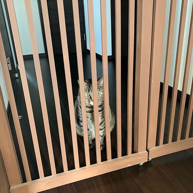 sabさんの実例写真
