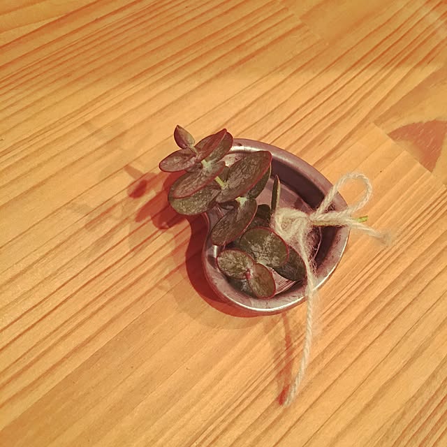miniさんの実例写真