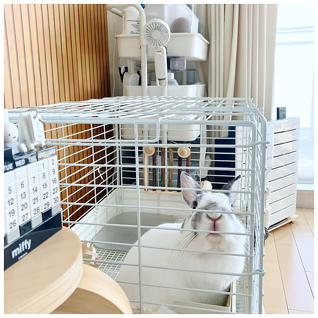 ksfioriさんの部屋