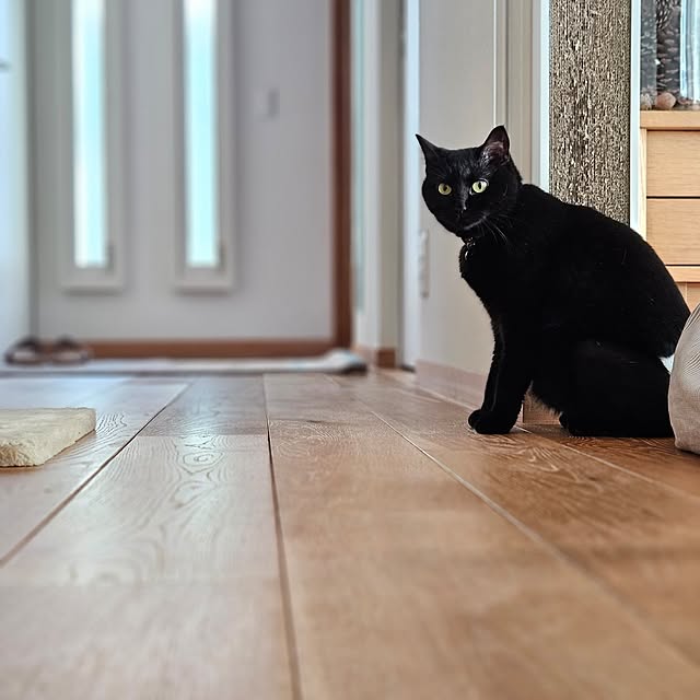 koyurizuさんの部屋