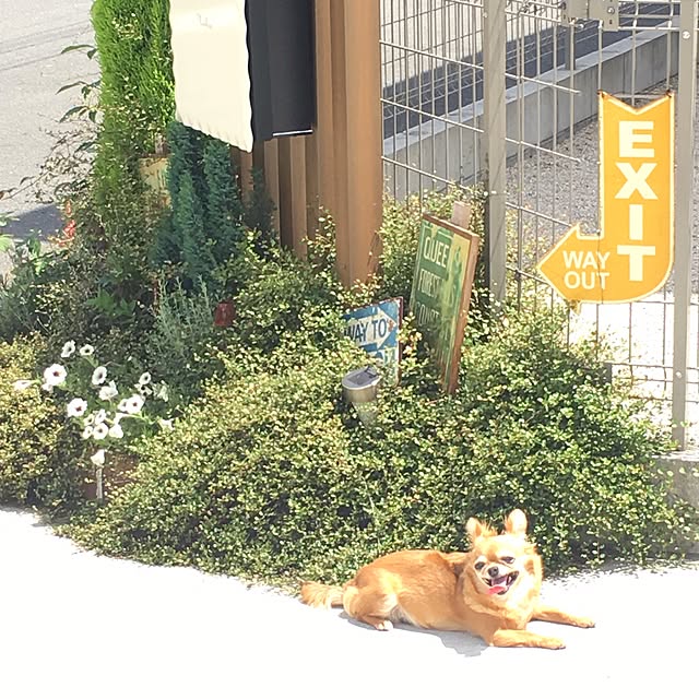 bon-bon-hippieさんの実例写真