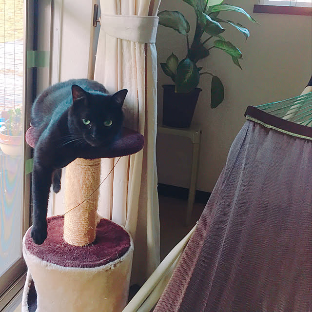 nanaさんの実例写真