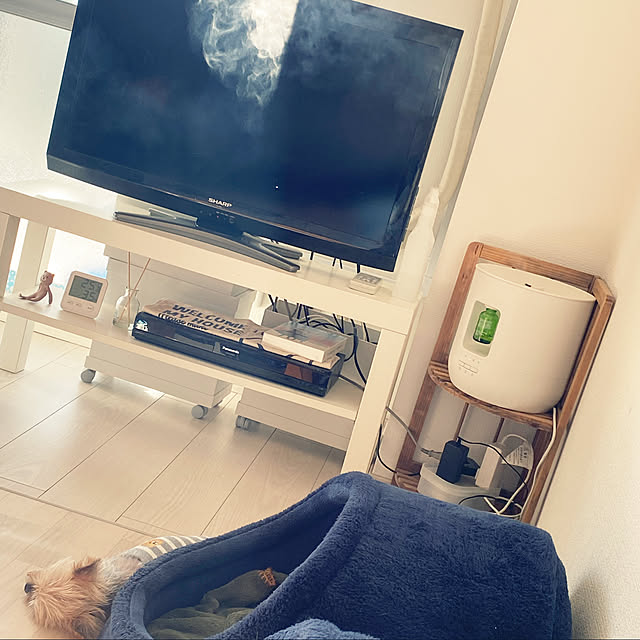 ohanaさんの実例写真