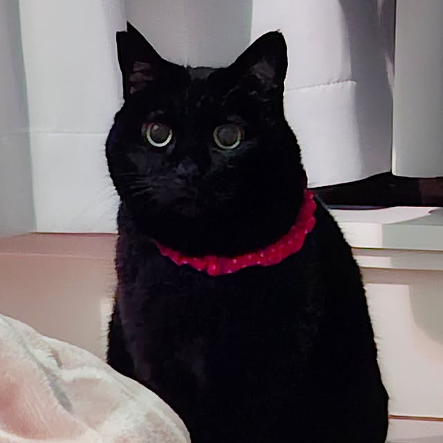 moko.7525himeさんの部屋