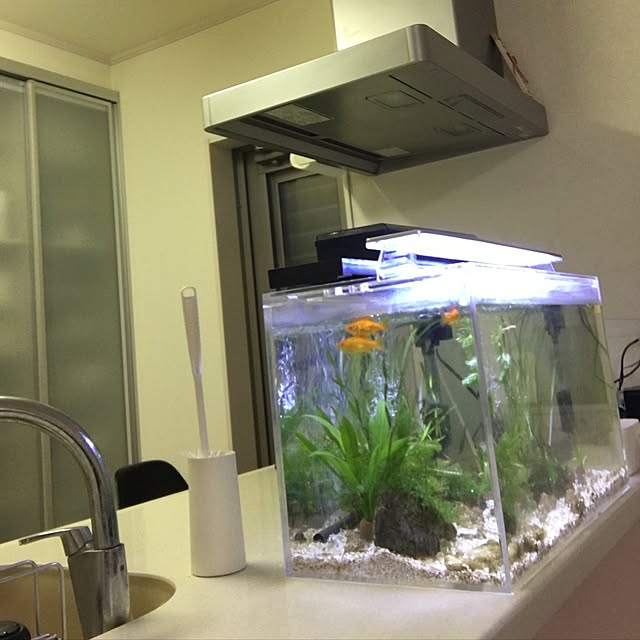 キッチンのインテリア実例 - 2016-09-21 20:39:54