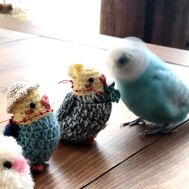 ponponHOUSEさんの実例写真
