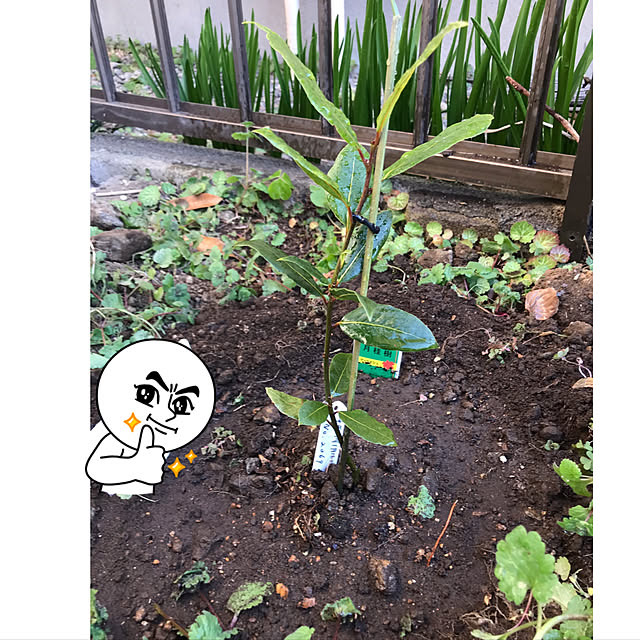 eshinobumさんの実例写真