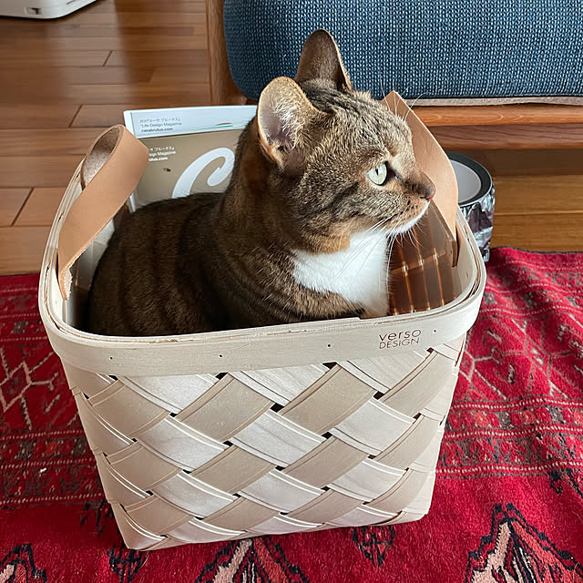 maruさんの実例写真
