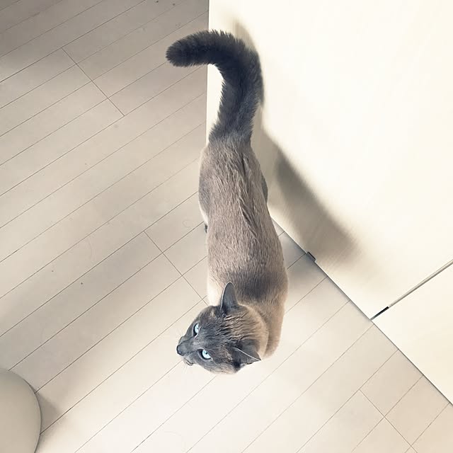 makikoさんの実例写真