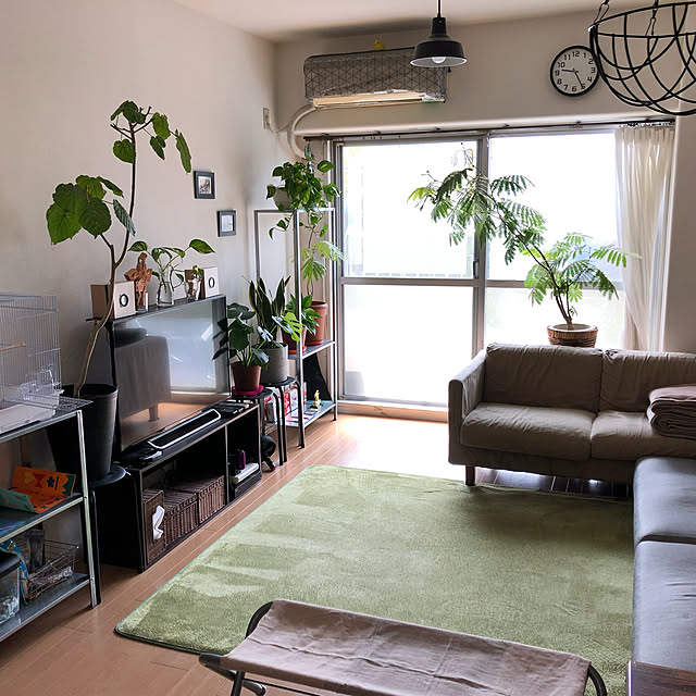 plants.fjkさんの実例写真