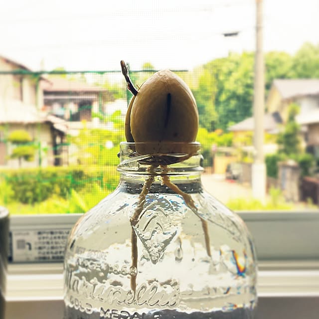 masax_xさんの実例写真