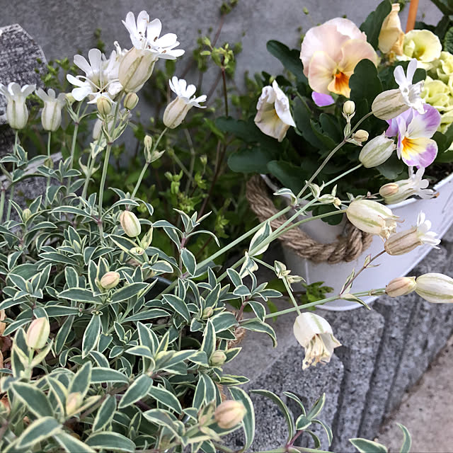 nakabaさんの実例写真