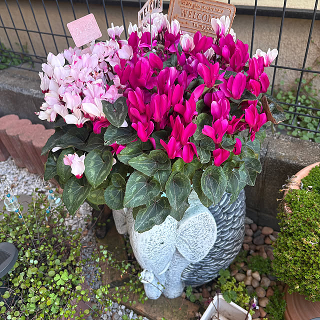 nannoさんの実例写真