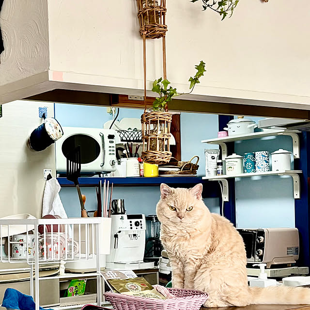 naokoさんの実例写真