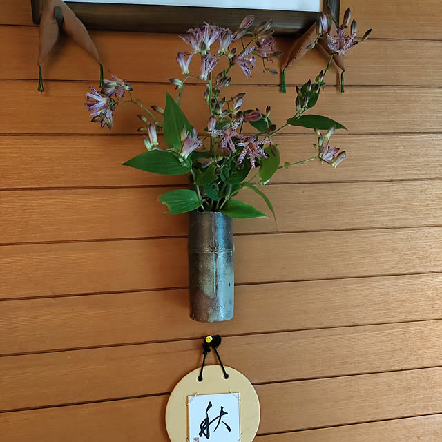 k30m24marchさんの実例写真