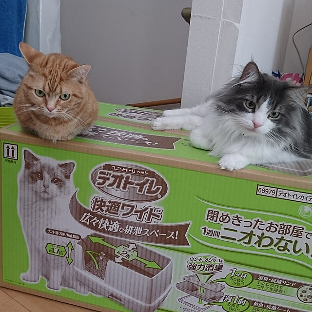 shinobuさんの実例写真