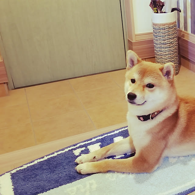 akitan0713さんの実例写真