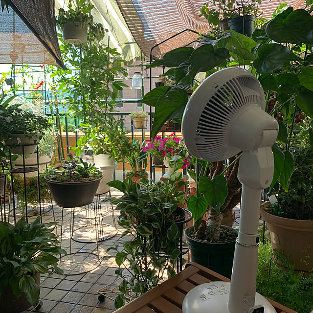 Aqettyさんの部屋