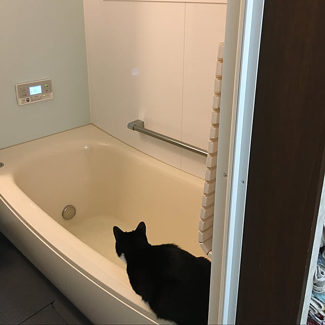 nekoさんの実例写真