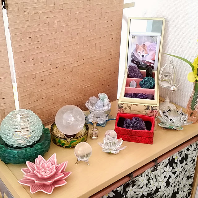 Yaya_Waterdropさんの実例写真