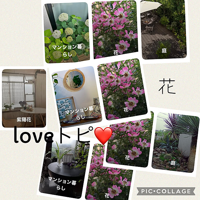 CoCo0617さんの実例写真