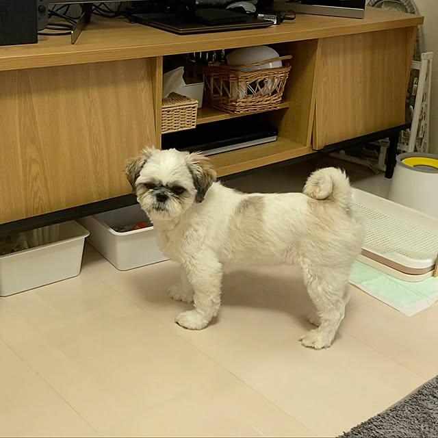 mana15さんの実例写真