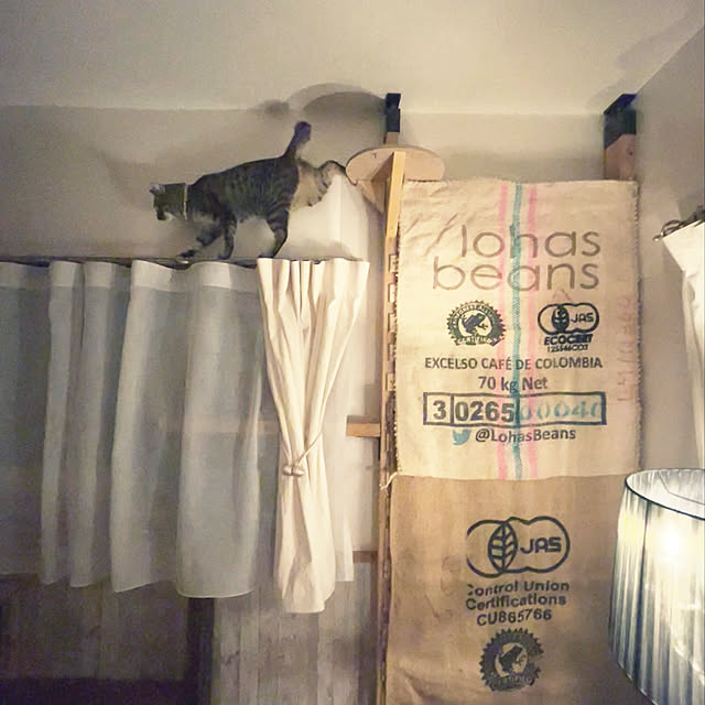 Mさんの実例写真