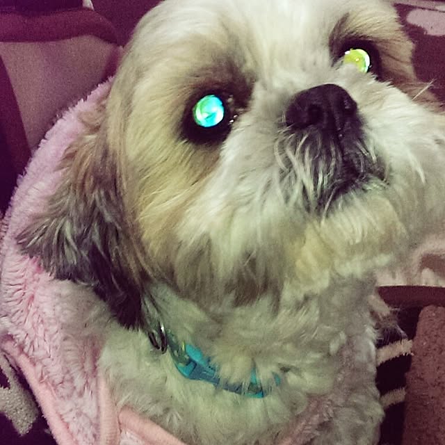tibiさんの実例写真