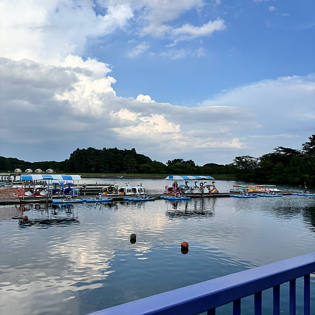 避暑地 那須/ロードトレイン/家の写真ではなくてすいません。/空気が綺麗/楽しいひと時を過しました♡...などのインテリア実例 - 2024-09-08 22:53:02