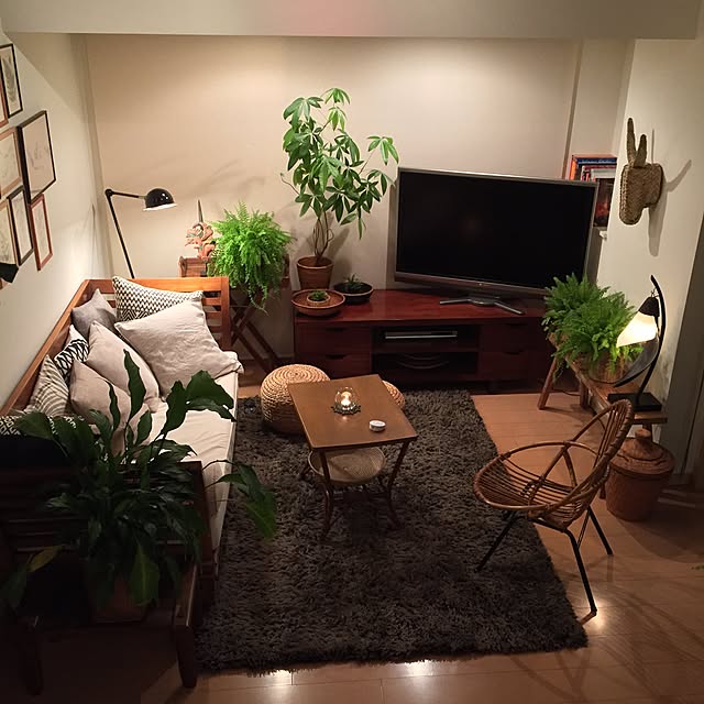 shinさんの実例写真