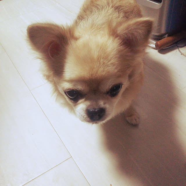 kiraさんの実例写真