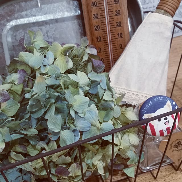cochaさんの実例写真