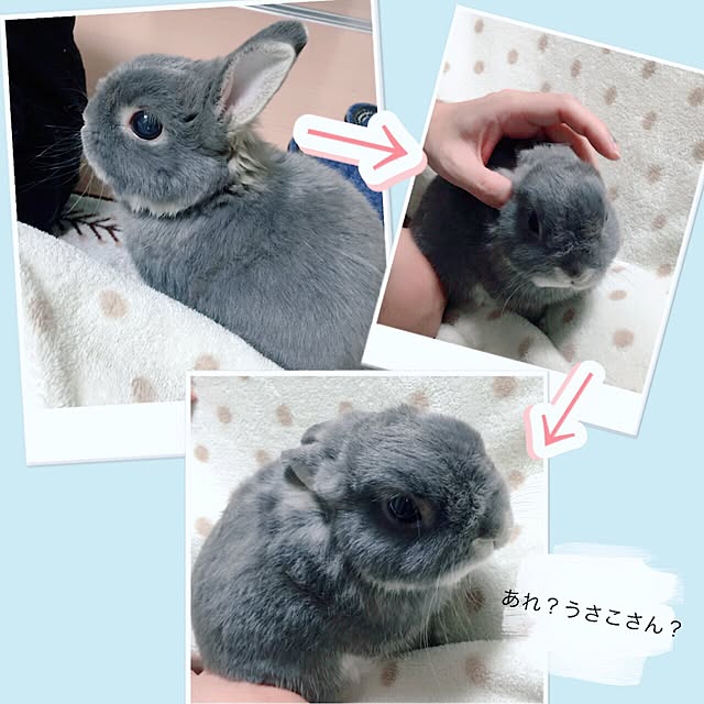 kusuttoさんの実例写真