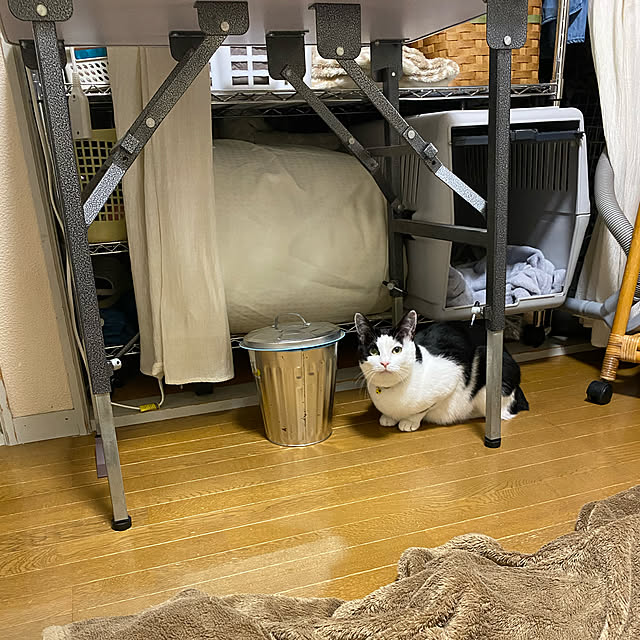 SHIHOさんの実例写真