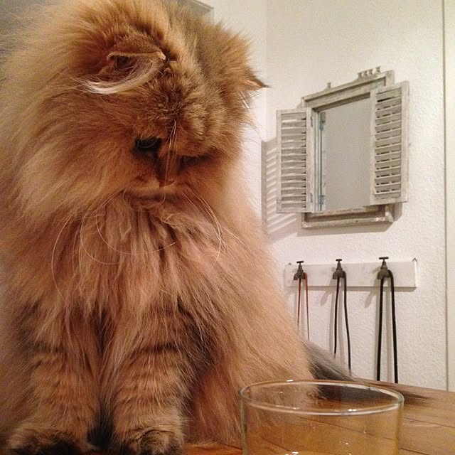 1978さんの実例写真
