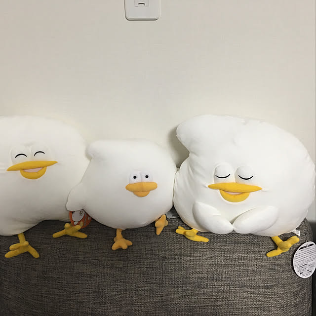 yuuuuさんの実例写真