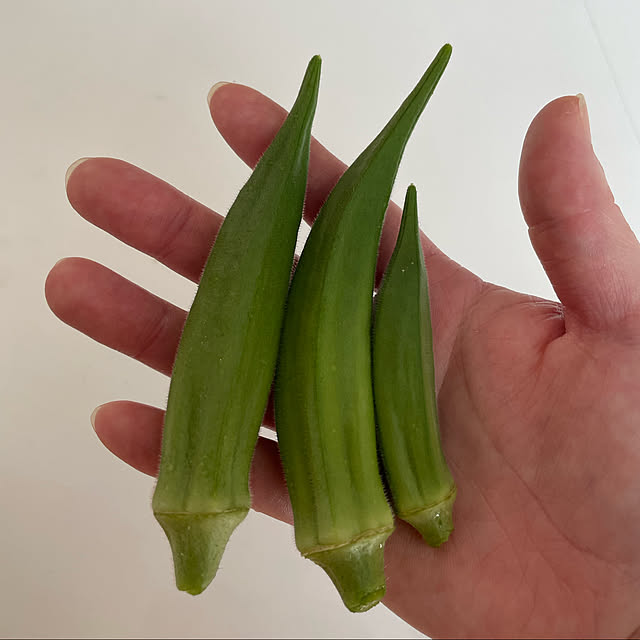 enotasoさんの実例写真