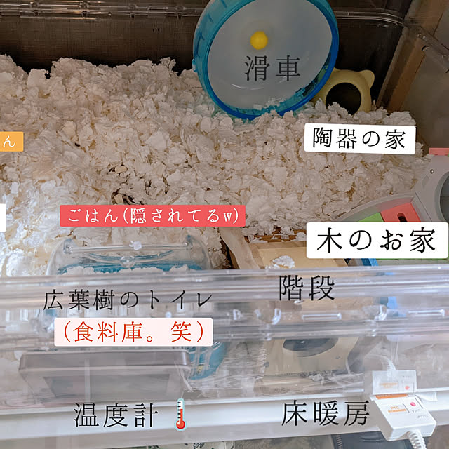 uguuuさんの実例写真