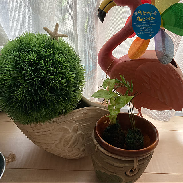 alohamamaさんの実例写真
