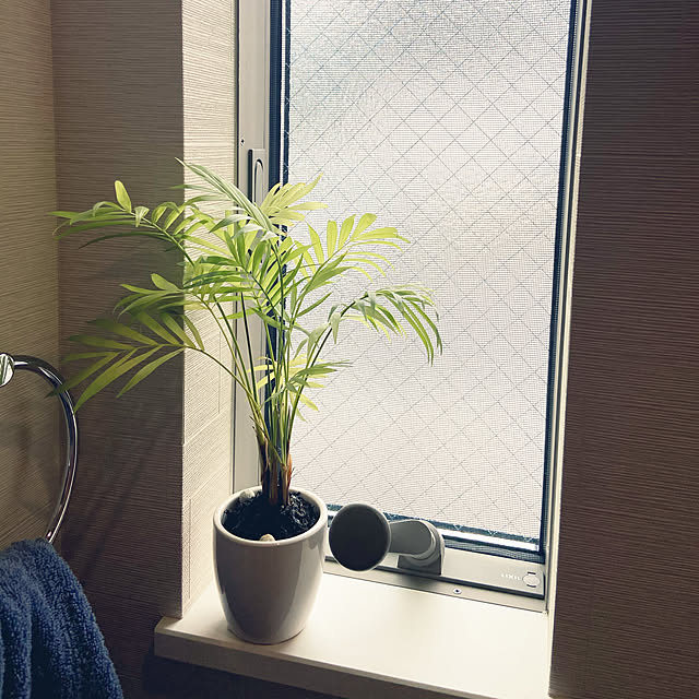 観葉植物/バス/トイレのインテリア実例 - 2020-05-27 16:42:28