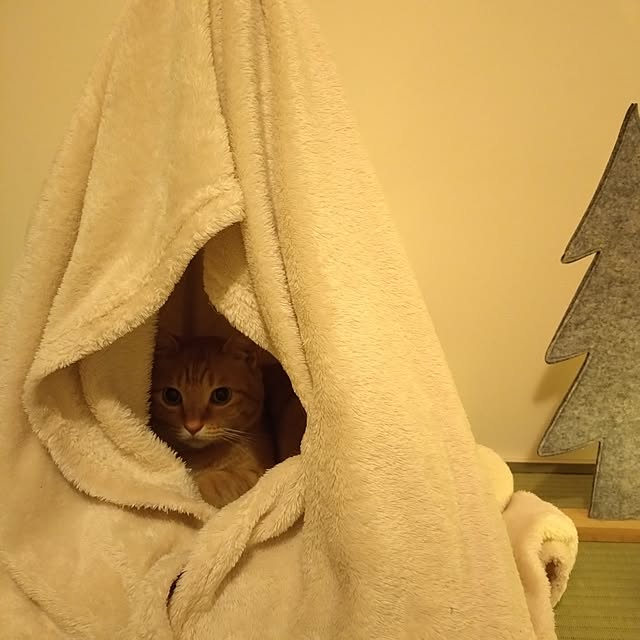 mayutan.さんの部屋