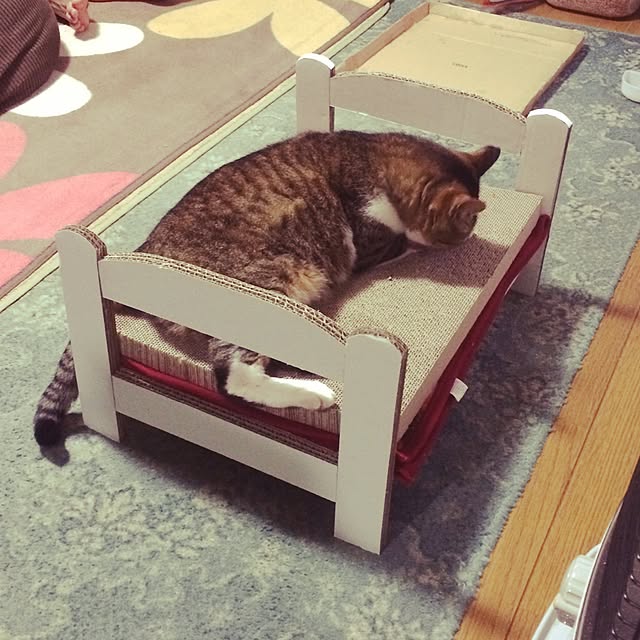 Manamiさんの実例写真