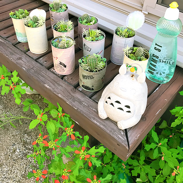 portulacaさんの実例写真