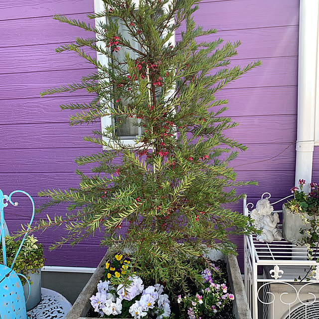 AYUKOさんの実例写真